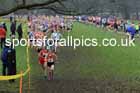 Senior Womens 2023 Northern Cross Country Champs., Witton Park, Blackburn. Photo: David T. Hewitson/Sports for All Pics